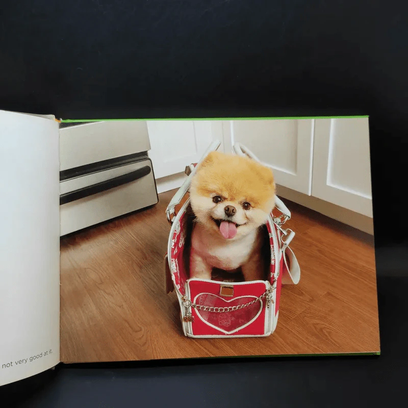 Boo The Life of the World's Cutest Dog - J.H.Lee รูปที่ 12