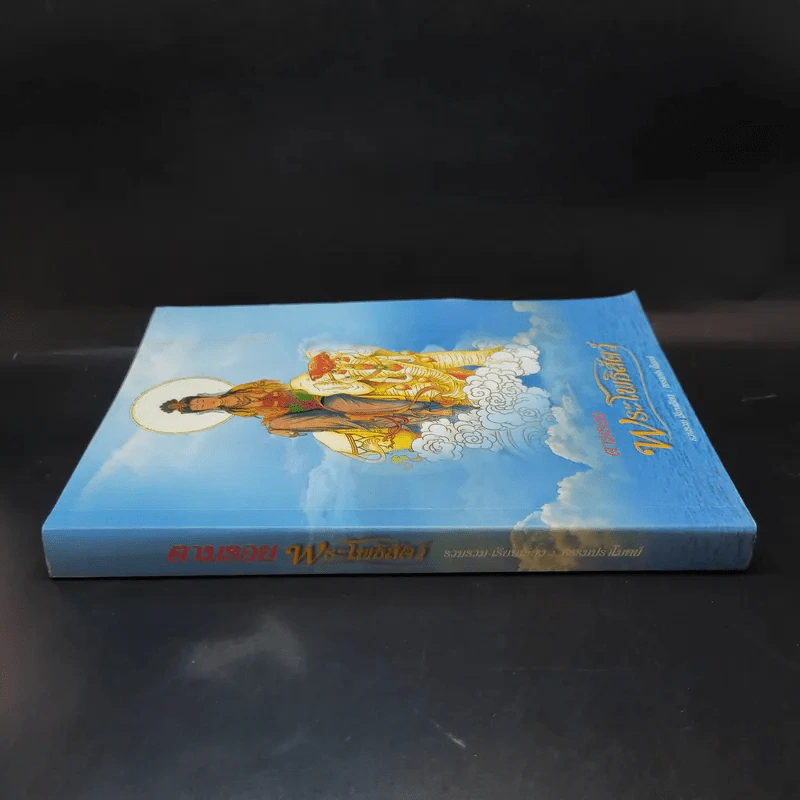 ตามรอยพระโพธิสัตว์ ที่ระลึกการก่อสร้างอุทยานพระโพธิสัตว์ วัดป่าแสงธรรม รูปที่ 3