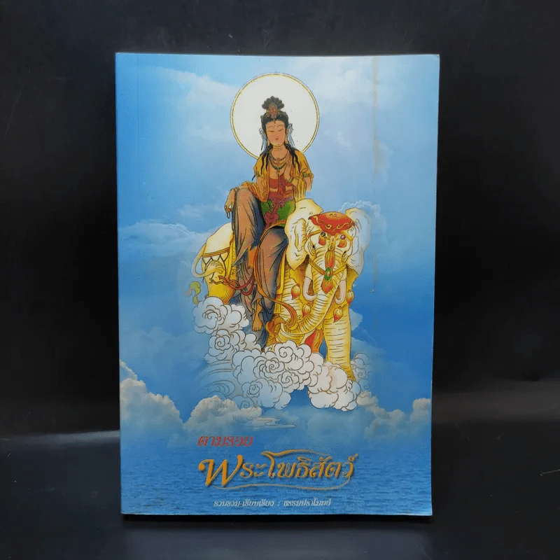 ตามรอยพระโพธิสัตว์ ที่ระลึกการก่อสร้างอุทยานพระโพธิสัตว์ วัดป่าแสงธรรม รูปที่ 1