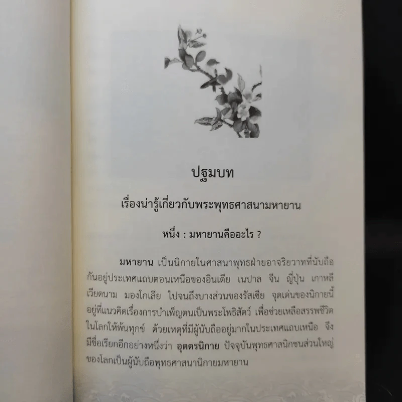 ตามรอยพระโพธิสัตว์ ที่ระลึกการก่อสร้างอุทยานพระโพธิสัตว์ วัดป่าแสงธรรม รูปที่ 10
