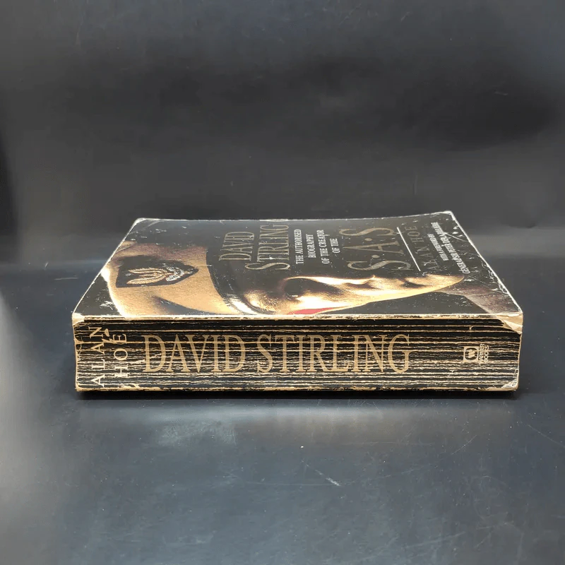 SAS Alen Hoe - David Stirling รูปที่ 3