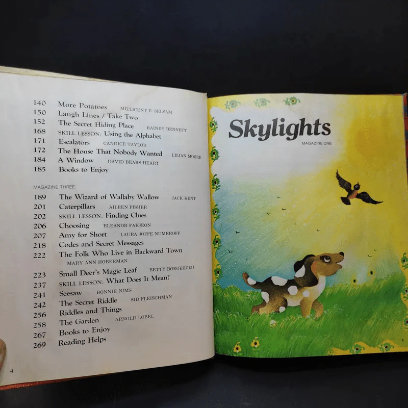 Skylights - William K. Durr, Jean M. Lepere, John J. Pikulski รูปที่ 7
