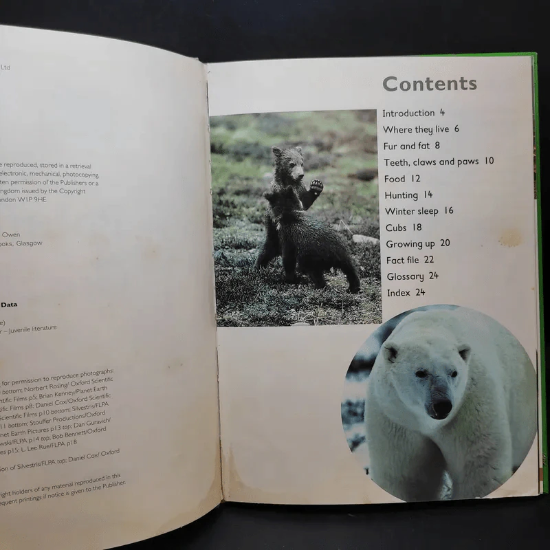 Polar Bear & Grizzly Bear รูปที่ 3