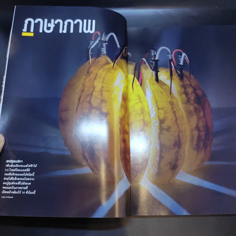 National Geographic ฉบับที่ 146 ก.ย.2556 ทะเลท่วมโลก รูปที่ 7
