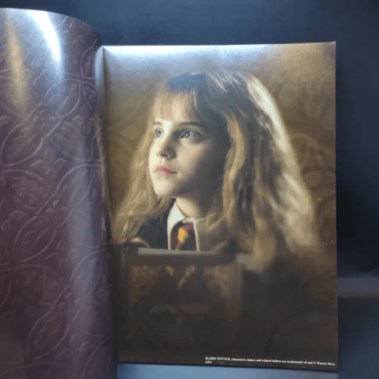 Harry Potter and the Sorcerer's Stone รูปที่ 7