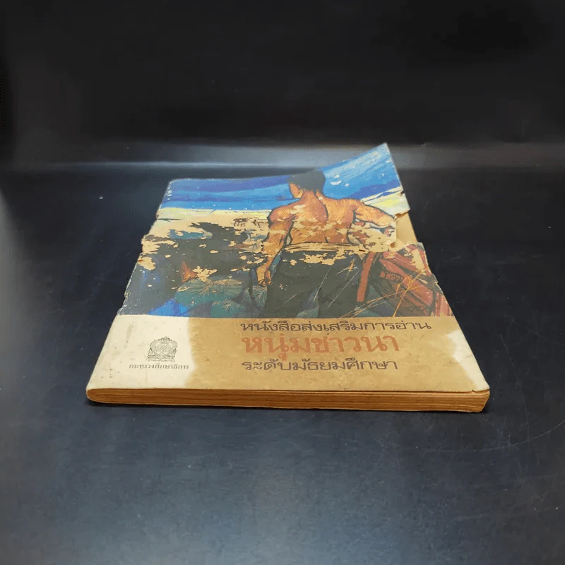 หนังสือส่งเสริมการอ่าน หนุ่มชาวนา ระดับมัธยมศึกษา รูปที่ 3