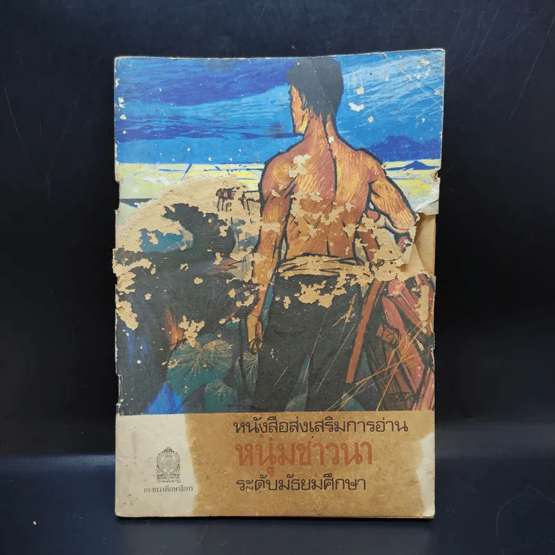 หนังสือส่งเสริมการอ่าน หนุ่มชาวนา ระดับมัธยมศึกษา รูปที่ 1