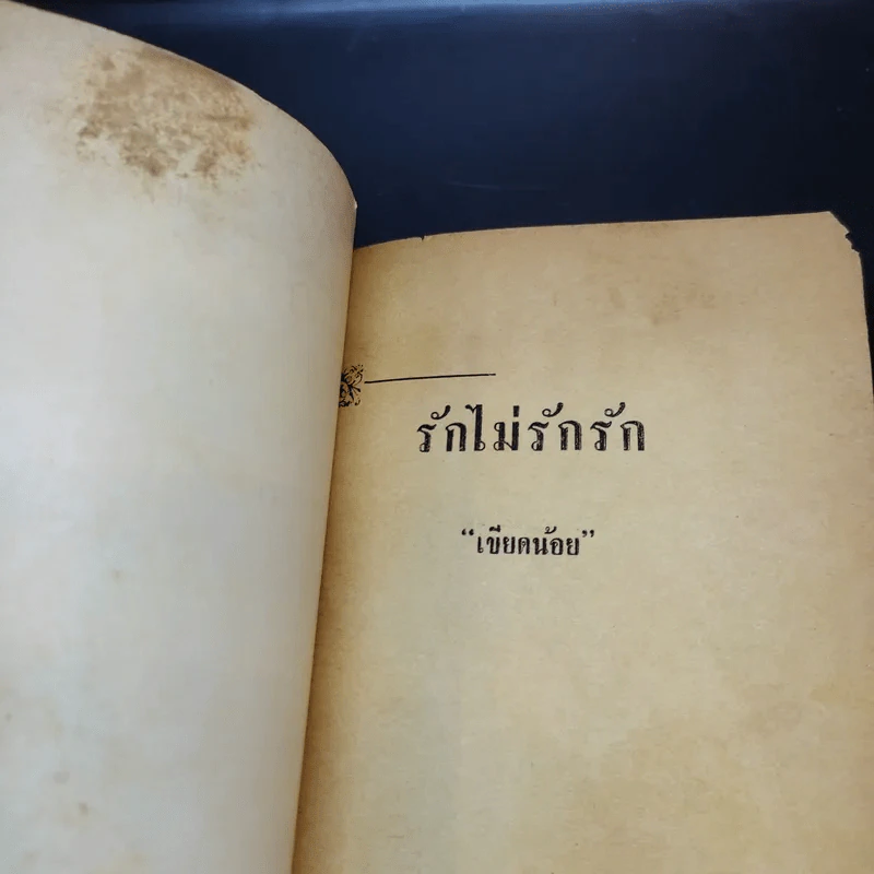 รักไม่รักรัก - เขียดน้อย รูปที่ 8