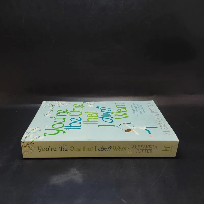 You're the One that I don't Want - Alexandra Potter รูปที่ 3