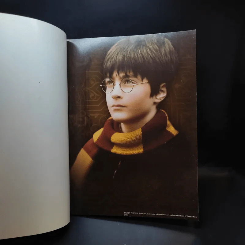 Harry Potter and the Sorcerer's Stone รูปที่ 6