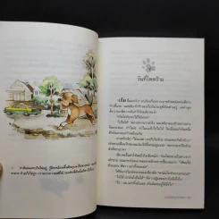 บันทึกสี่เท้า จากหัวใจผู้ไร้บ้าน - นายซีเปีย รูปที่ 10