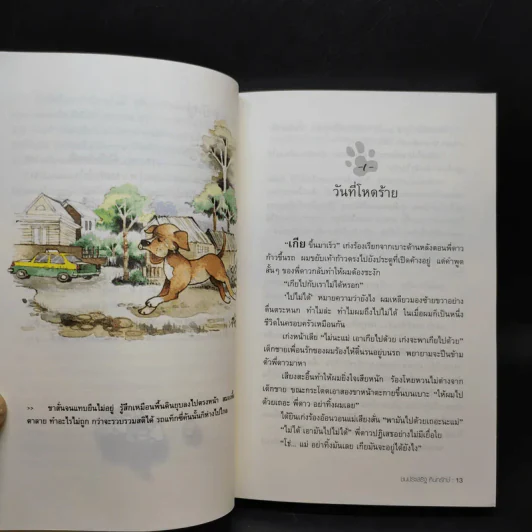 บันทึกสี่เท้า จากหัวใจผู้ไร้บ้าน - นายซีเปีย รูปที่ 10