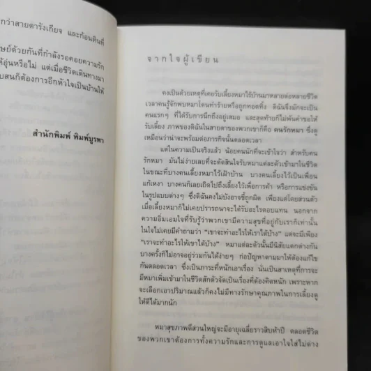 บันทึกสี่เท้าจากหัวใจผู้ไร้บ้าน - นายซีเปีย รูปที่ 10
