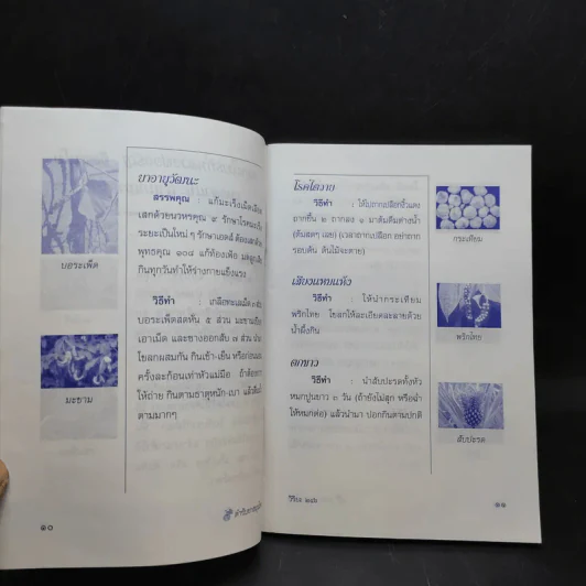 ตำรับยาสมุนไพร - พระธรรมสิงหบุราจารย์ (หลวงพ่อจรัญ) รูปที่ 10
