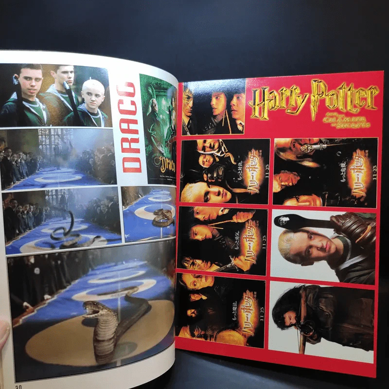 Harry Potter & Legolas รูปที่ 10