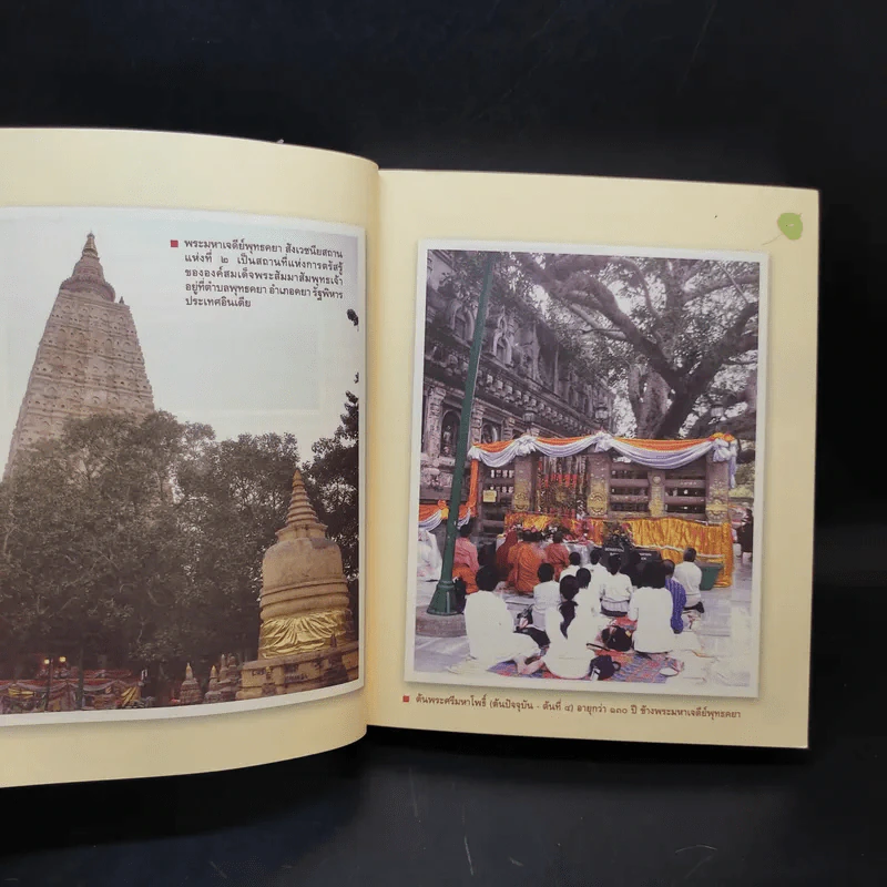 สู่แดนพุทธองค์ อินเดีย-เนปาล - พระราชรัตนรังษี (วีรยุทธ์ วีรยุทโธ) รูปที่ 11