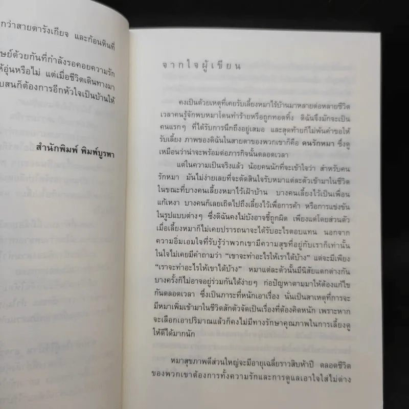 บันทึกสี่เท้าจากหัวใจผู้ไร้บ้าน - นายซีเปีย รูปที่ 10