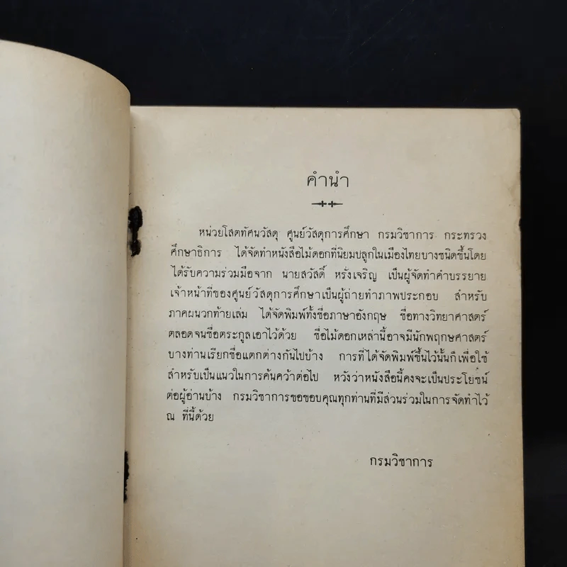 ไม้ดอกที่นิยมปลูกในเมืองไทยบางชนิด รูปที่ 9