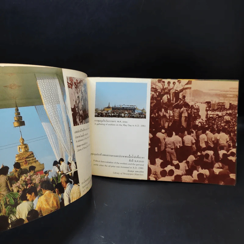 เล่าเรื่องสนามหลวงด้วยภาพ สนามหลวง รูปที่ 10