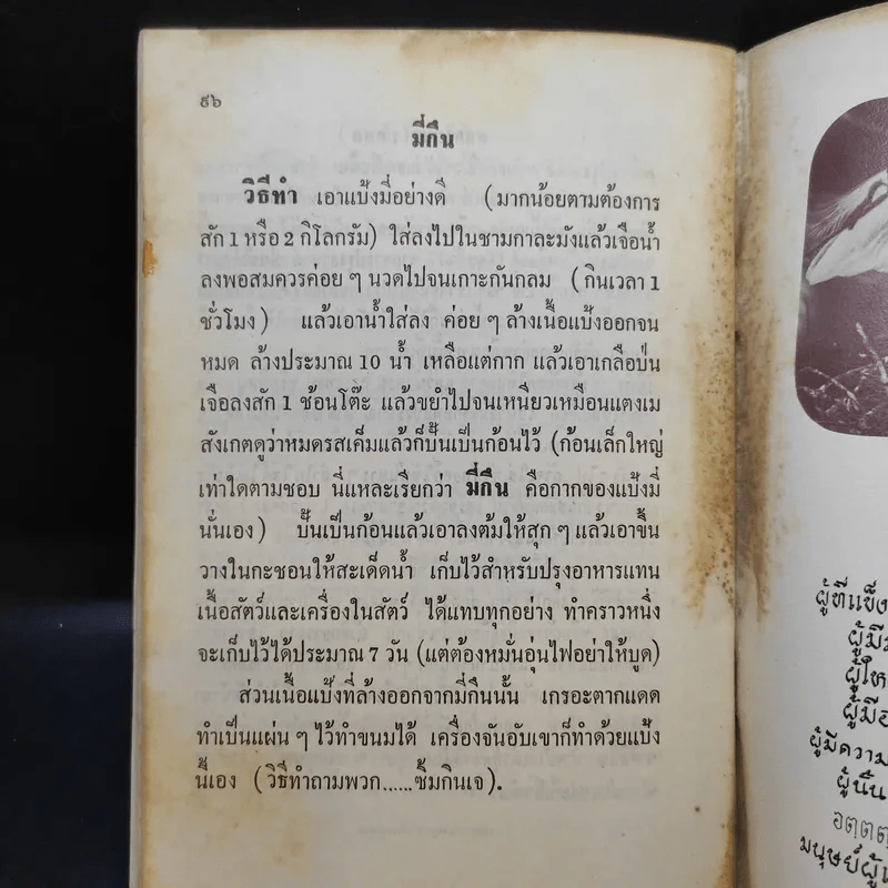 อาหารธรรมชาติเพื่อสุขภาพและความงาม - มูลนิธิธรรมสันติ รูปที่ 11