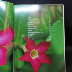 ชวนชม กุหลาบแห่งทะเลทราย - เผด็จ โตนวล, อฤชร พงษ์ไสว รูปที่ 12
