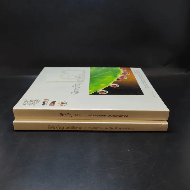พิศเจริญ เล่ม 1-2 อัลบั้มภาพและอมตธรรมแห่งสองศรีพระศาสนา รูปที่ 3