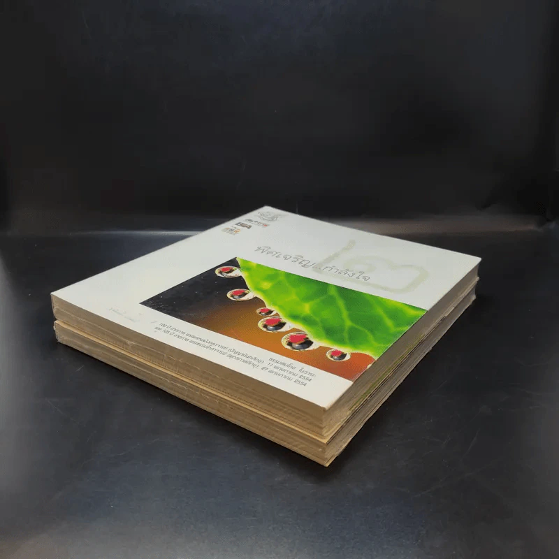 พิศเจริญ เล่ม 1-2 อัลบั้มภาพและอมตธรรมแห่งสองศรีพระศาสนา รูปที่ 7