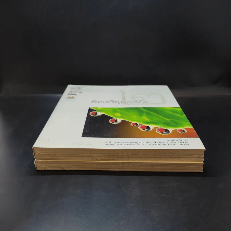 พิศเจริญ เล่ม 1-2 อัลบั้มภาพและอมตธรรมแห่งสองศรีพระศาสนา รูปที่ 4