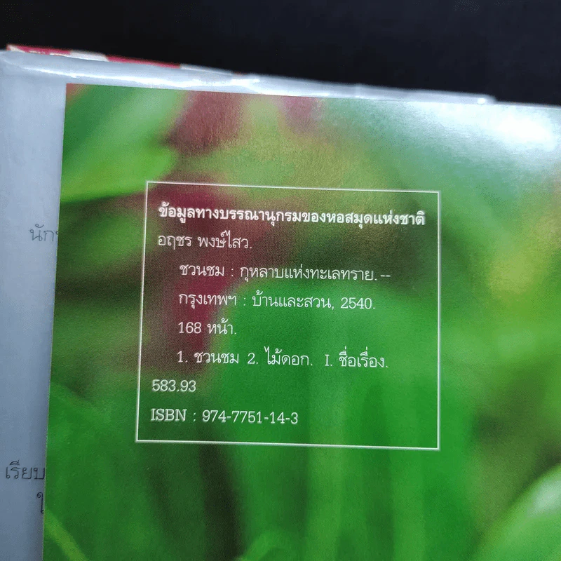 ชวนชม กุหลาบแห่งทะเลทราย - เผด็จ โตนวล, อฤชร พงษ์ไสว รูปที่ 9