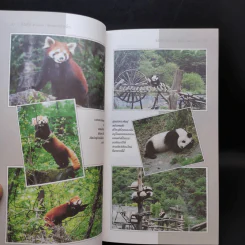 จิ่วไจ้โก...หวงหลง (พิศวงแห่งสายน้ำ) - สมลักษณ์ วงษ์รัตน์ รูปที่ 12