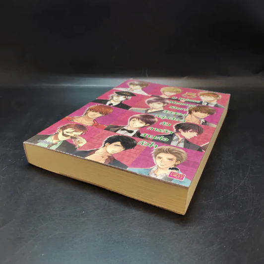 นิยายแจ่มใส U Prince Memory Story สิบสองหนุ่มฮอตกับภารกิจสานต่อหัวใจ รูปที่ 6