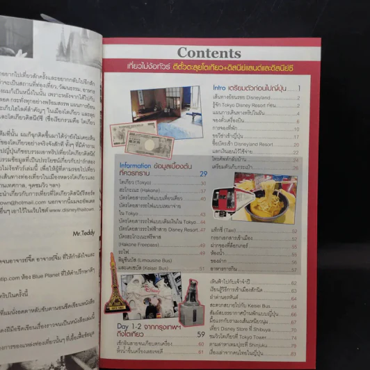 เที่ยวไม่ง้อทัวร์ ตีตั๋วตะลุยโตเกียว+ดิสนีย์แลนด์และดิสนีย์ซี รูปที่ 9