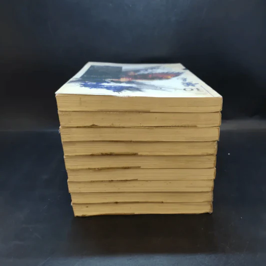 เหยี่ยวมารสะท้านสิบทิศ เล่ม 1,2,3,4,5,6,8,9,10 รูปที่ 5