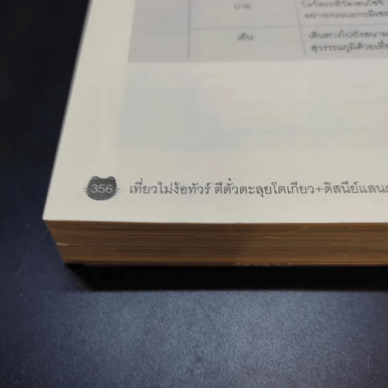 เที่ยวไม่ง้อทัวร์ ตีตั๋วตะลุยโตเกียว+ดิสนีย์แลนด์และดิสนีย์ซี รูปที่ 13