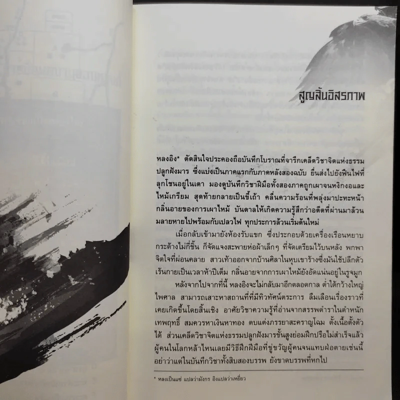 เหยี่ยวมารสะท้านสิบทิศ เล่ม 1,2,3,4,5,6,8,9,10 รูปที่ 10