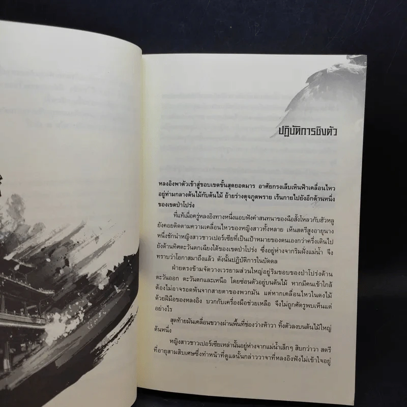 เหยี่ยวมารสะท้านสิบทิศ เล่ม 10 - หวงอี้ / น.นพรัตน์ แปล รูปที่ 9