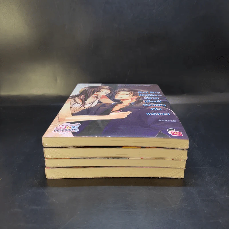 นิยายแจ่มใส Bad Boy Brothers ขายรวม 4 เล่ม รูปที่ 4