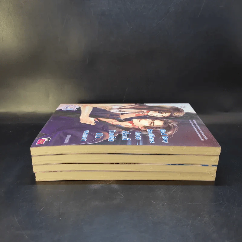 นิยายแจ่มใส Bad Boy Brothers ขายรวม 4 เล่ม รูปที่ 5