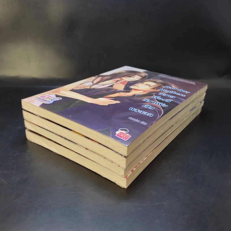 นิยายแจ่มใส Bad Boy Brothers ขายรวม 4 เล่ม รูปที่ 7