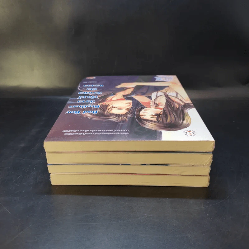 นิยายแจ่มใส Bad Boy Brothers ขายรวม 4 เล่ม รูปที่ 6