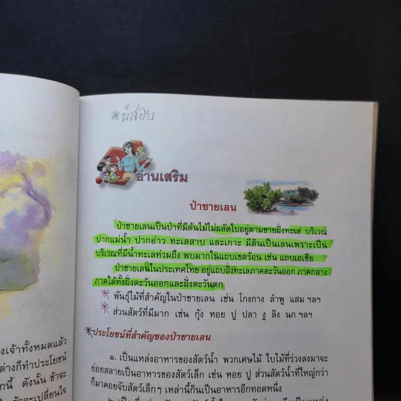 ภาษาพาที ชั้นประถมศึกษาปีที่ 3 รูปที่ 13