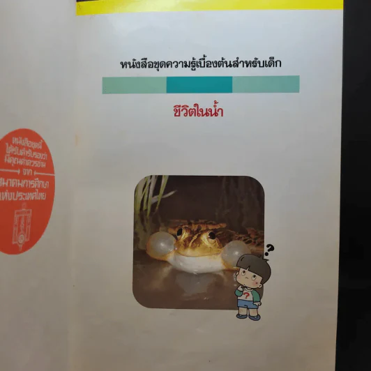 หนังสือชุดความรู้เบื้องต้นสำหรับเด็ก สิ่งที่น่าทำ + ชีวิตในน้ำ รูปที่ 13