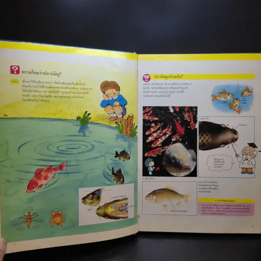 หนังสือชุดความรู้เบื้องต้นสำหรับเด็ก สิ่งที่น่าทำ + ชีวิตในน้ำ รูปที่ 17