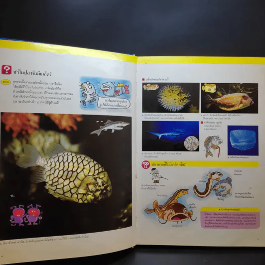 หนังสือชุดความรู้เบื้องต้นสำหรับเด็ก สิ่งที่น่าทำ + ชีวิตในน้ำ รูปที่ 16