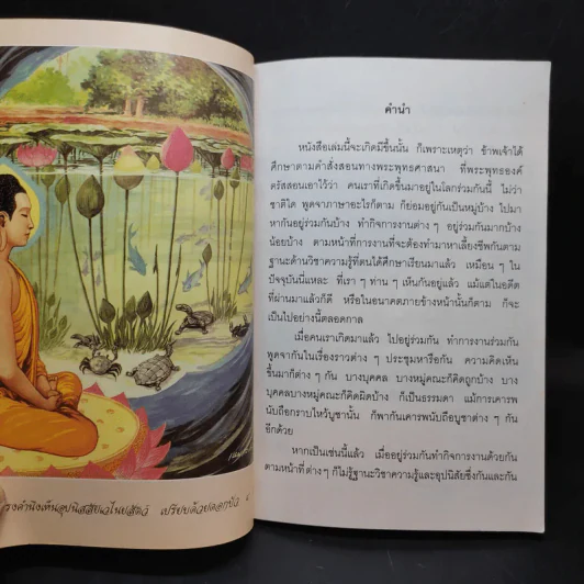 มองดูตนเอง - พระอาจารย์เปลี่ยน ปญญาปทีโป รูปที่ 10