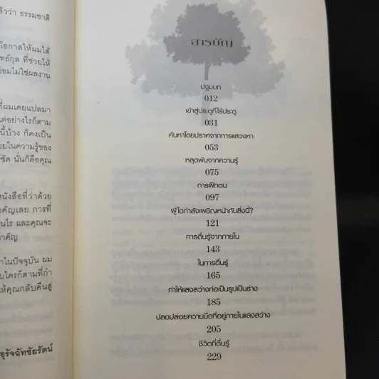 ตื่นรู้สู่แสงสว่าง - Stephan Bodian รูปที่ 12