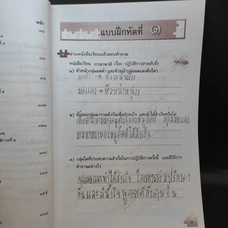 ทักษะภาษา ชั้นประถมศึกษาปีที่ 3 รูปที่ 12
