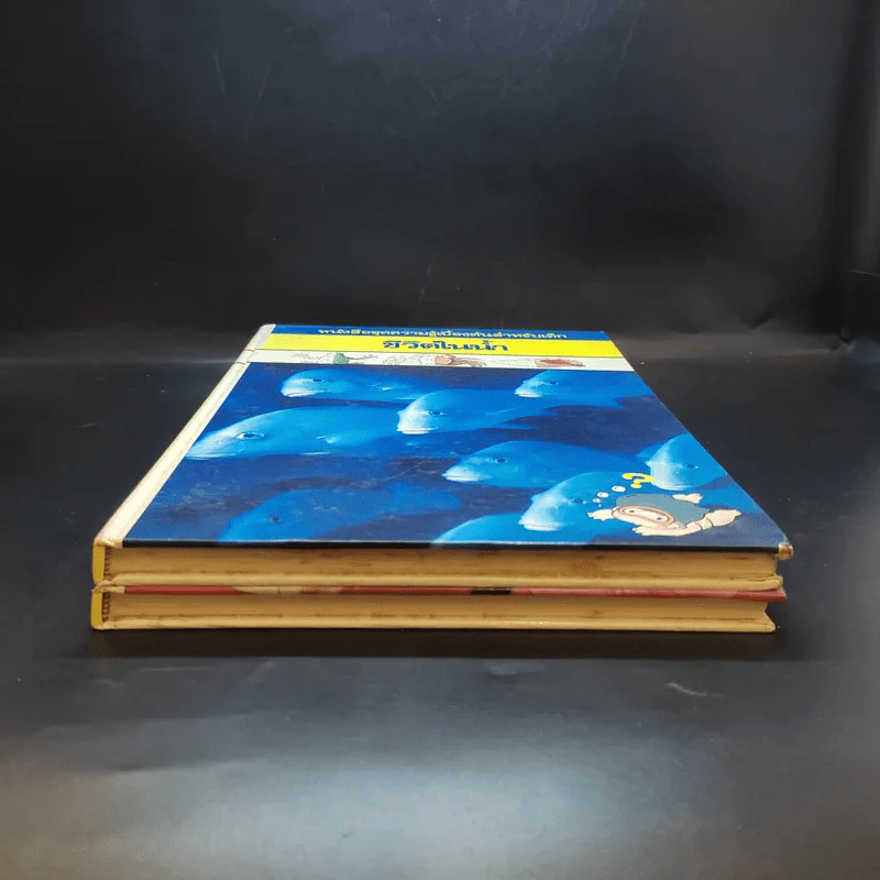 หนังสือชุดความรู้เบื้องต้นสำหรับเด็ก สิ่งที่น่าทำ + ชีวิตในน้ำ รูปที่ 4