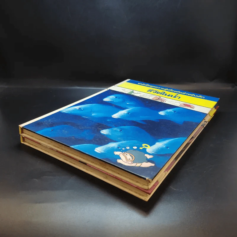 หนังสือชุดความรู้เบื้องต้นสำหรับเด็ก สิ่งที่น่าทำ + ชีวิตในน้ำ รูปที่ 6