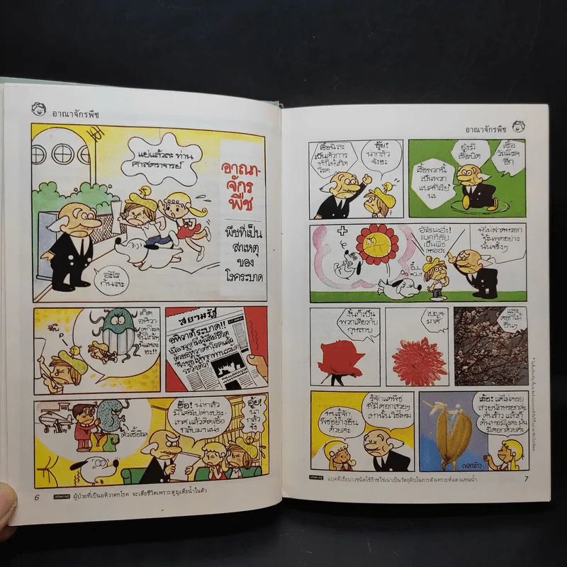 วิทยาศาสตร์อ่านสนุก เล่ม 1-8 รูปที่ 29